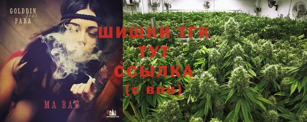 хмурый Гусь-Хрустальный