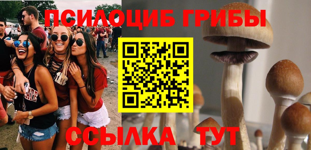 Псилоцибиновые грибы GOLDEN TEACHER  Галлюциногенные грибы MAGIC MUSHROOMS  Донецк 
