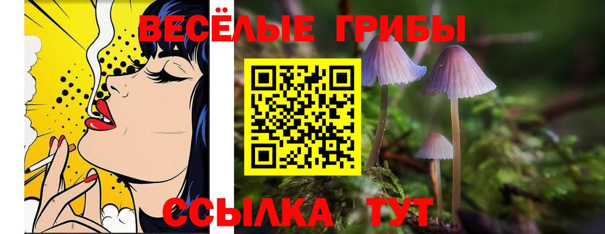 Галлюциногенные грибы MAGIC MUSHROOMS Донецк